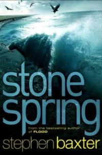 Обложка книги «Stone spring»