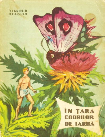 Обложка книги «In Tara Codrilor de Iarba»