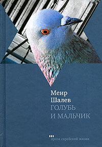 Обложка книги «Голубь и Мальчик»