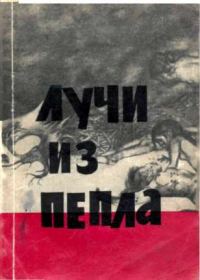 Обложка книги «Лучи из пепла»