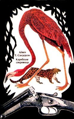 Обложка книги «Карибские сокровища»