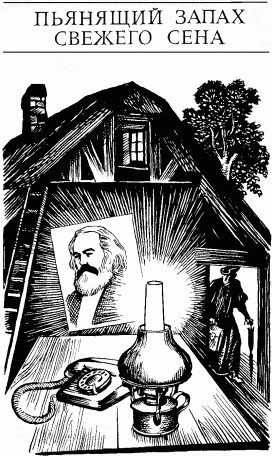 Обложка книги «Пьянящий запах свежего сена»