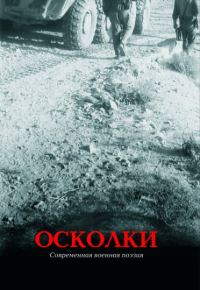 Обложка книги «Осколки»