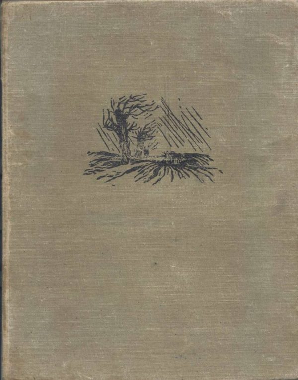 Обложка книги «Фата Моргана»