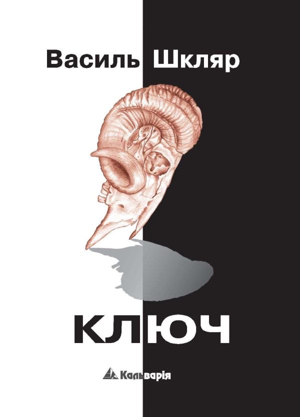 Обложка книги «Ключ»