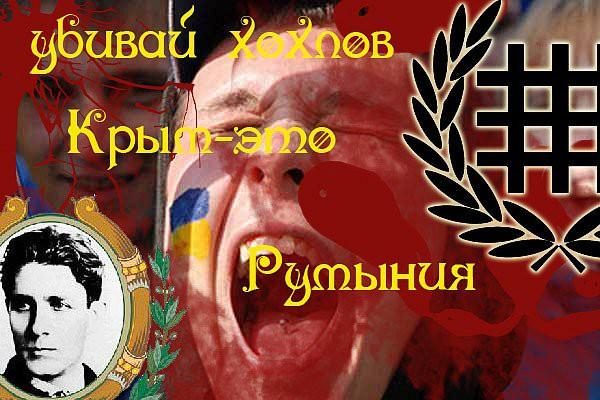 Обложка книги «Осторожно. Фашисткое дерьмо.»