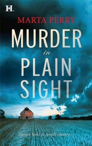 Обложка книги «Murder in Plain Sight»