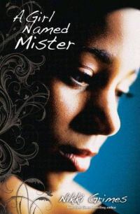 Обложка книги «A Girl Named Mister»