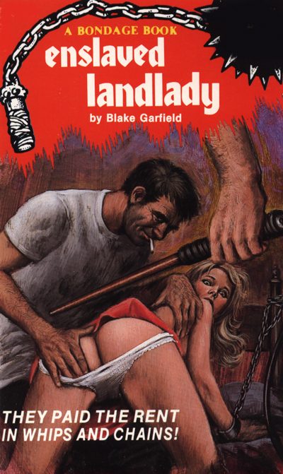 Обложка книги «Enslaved landlady»