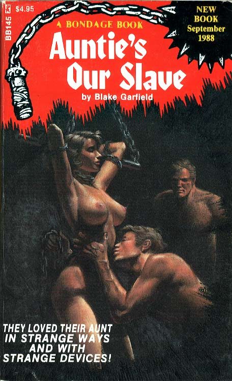 Обложка книги «Auntie's Our Slave»