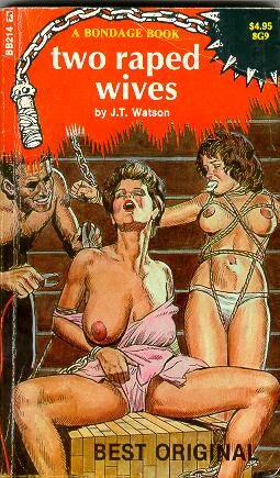 Обложка книги «Two raped wives»