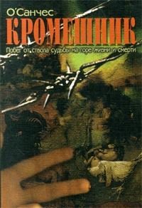 Обложка книги «Кромешник. Книга 2»