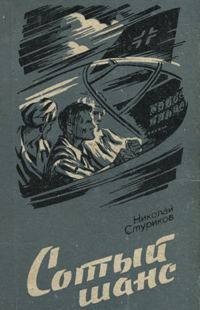 Обложка книги «Сотый шанс»