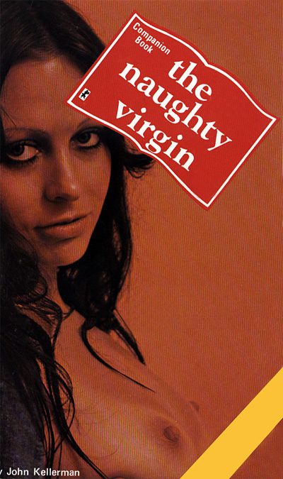 Обложка книги «The naughty virgin»