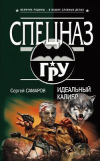 Обложка книги «Идеальный калибр»