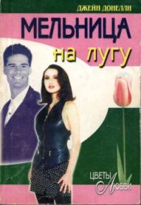 Обложка книги «Мельница на лугу»