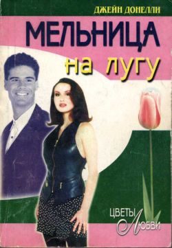 Обложка книги «Мельница на лугу»