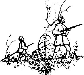 Обложка книги «Шесть дней в лесах»