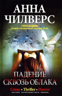 Обложка книги «Падение сквозь облака»