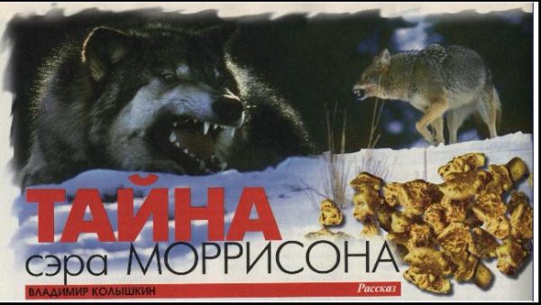 Обложка книги «Тайна сэра Моррисона»
