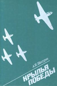 Обложка книги «Крылья победы»