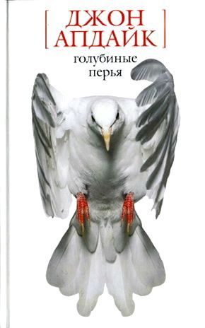 Обложка книги «Под защитой»