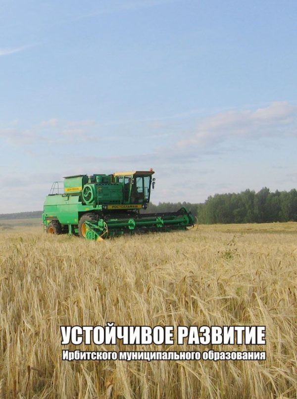 Обложка книги «Устойчивое развитие Ирбитского муниципального образования, часть 2»