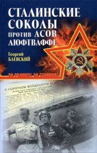 Обложка книги ««Сталинские соколы» против асов Люфтваффе»