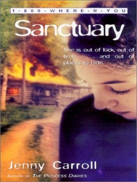 Обложка книги «Sanctuary»