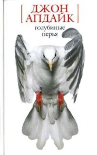 Обложка книги «Отшельник»