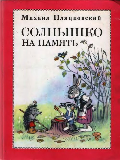 Обложка книги «Солнышко на память»