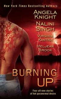 Обложка книги «Burning Up»