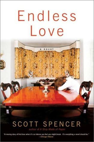 Обложка книги «Endless Love»