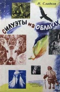 Обложка книги «Силуэты на облаках»