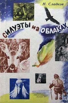 Обложка книги «Силуэты на облаках»