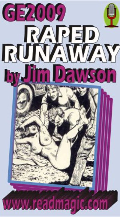 Обложка книги «Raped Runaway»