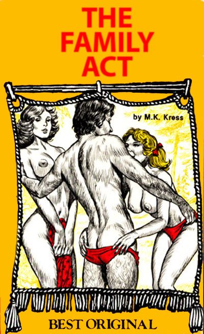 Обложка книги «The family act»