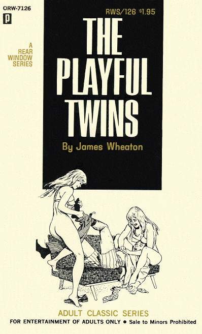 Обложка книги «The playful twins»