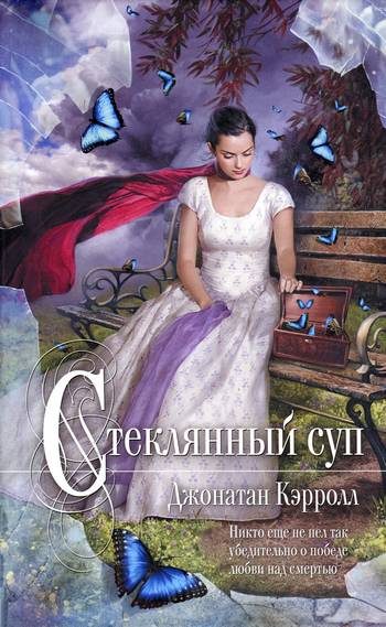 Обложка книги «Стеклянный суп»