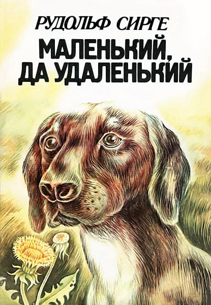 Обложка книги «Маленький, да удаленький»