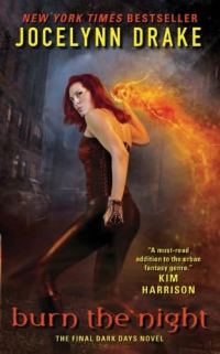 Обложка книги «Burn the Night»