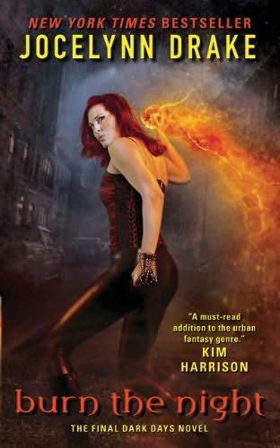 Обложка книги «Burn the Night»