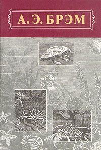 Обложка книги «Жизнь животных, Том III, Пресмыкающиеся. Земноводные. Рыбы»
