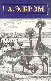 Обложка книги «Жизнь животных, Том II, Птицы»