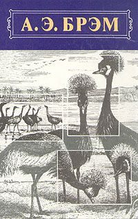 Обложка книги «Жизнь животных, Том II, Птицы»