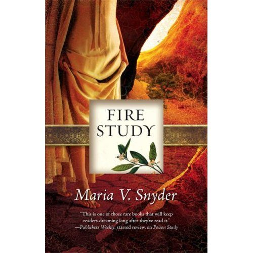 Обложка книги «Fire Study - Study 03»