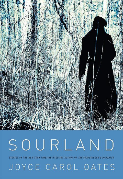 Обложка книги «Sourland»