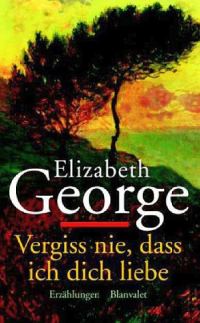 Обложка книги «Vergiss nie, dass ich dich liebe»