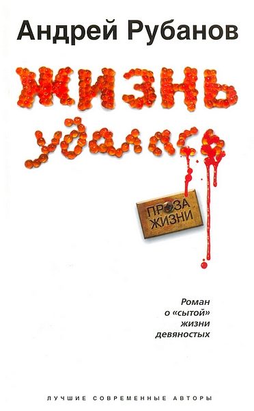 Обложка книги «Жизнь удалась»