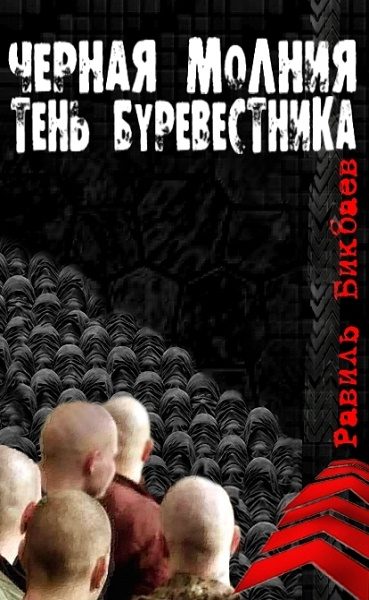 Обложка книги «Черная молния. Тень буревестника»